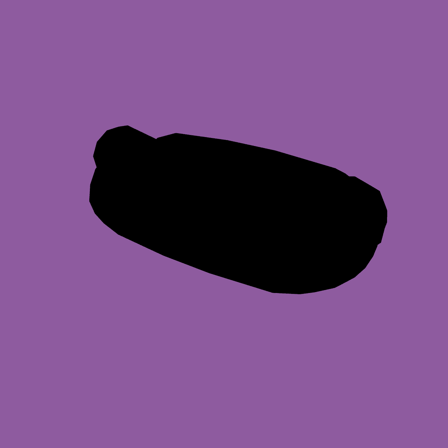 Argentine Choripán